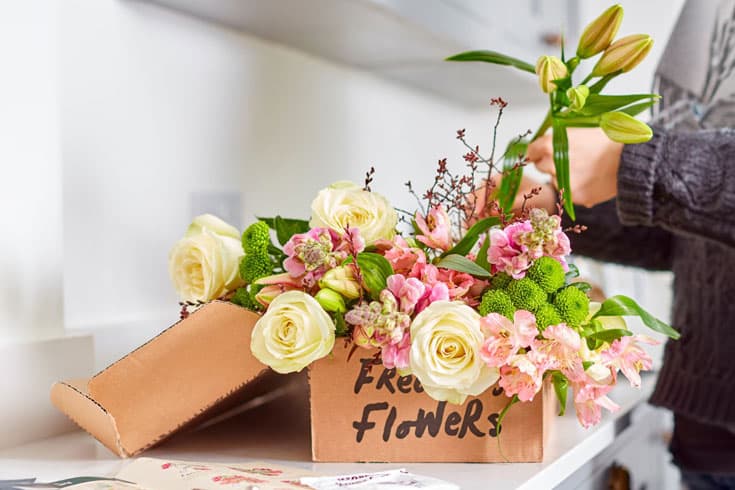 Freddie's Flowers-banner-image