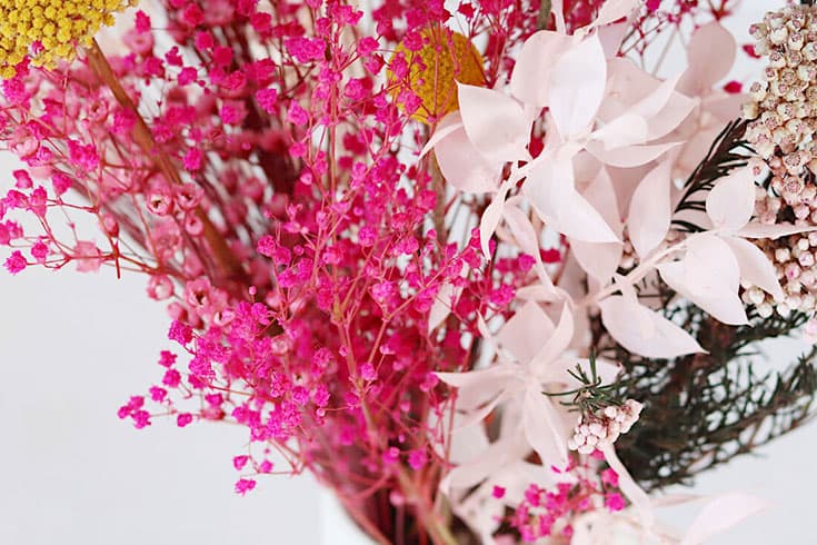 Shida-banner-image