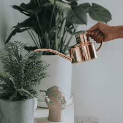 Image showing the The Fazeley Flow Watering Can, 1 Pint, Copper product.