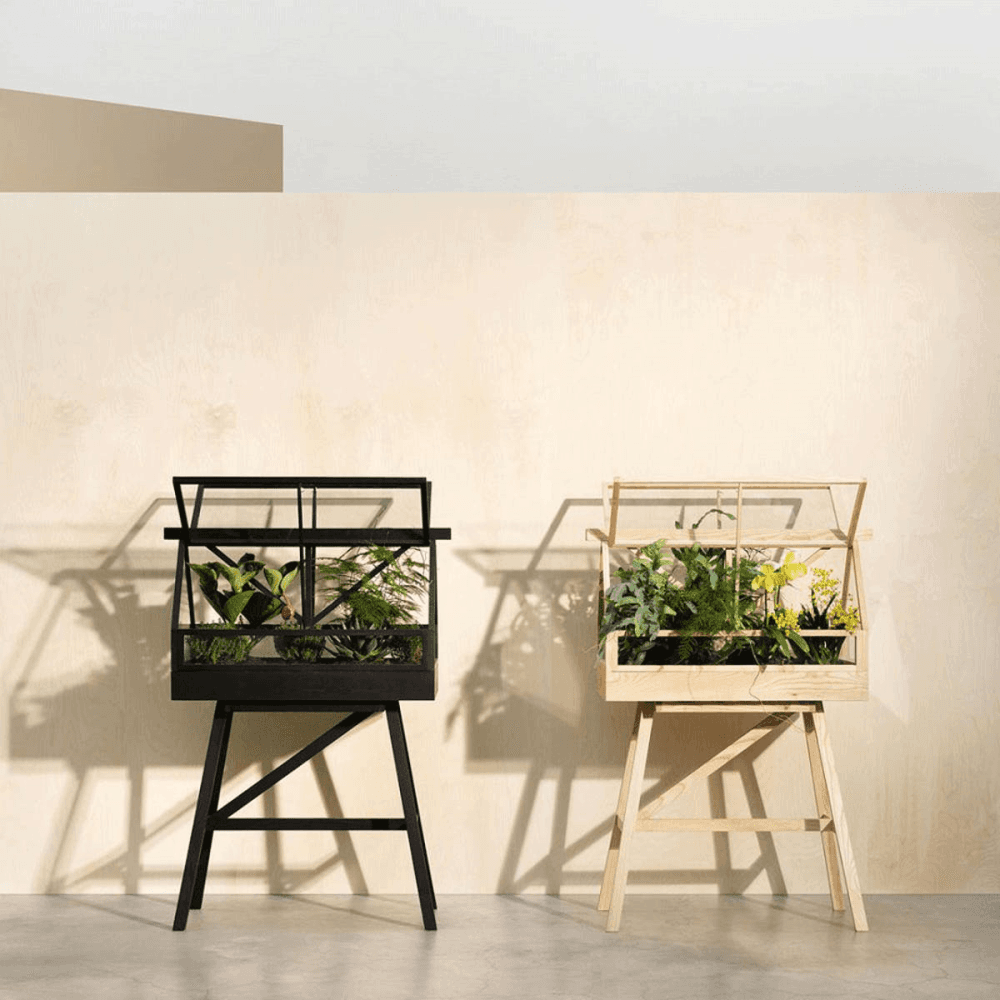 Greenhouse Indoor greenhouse, Black