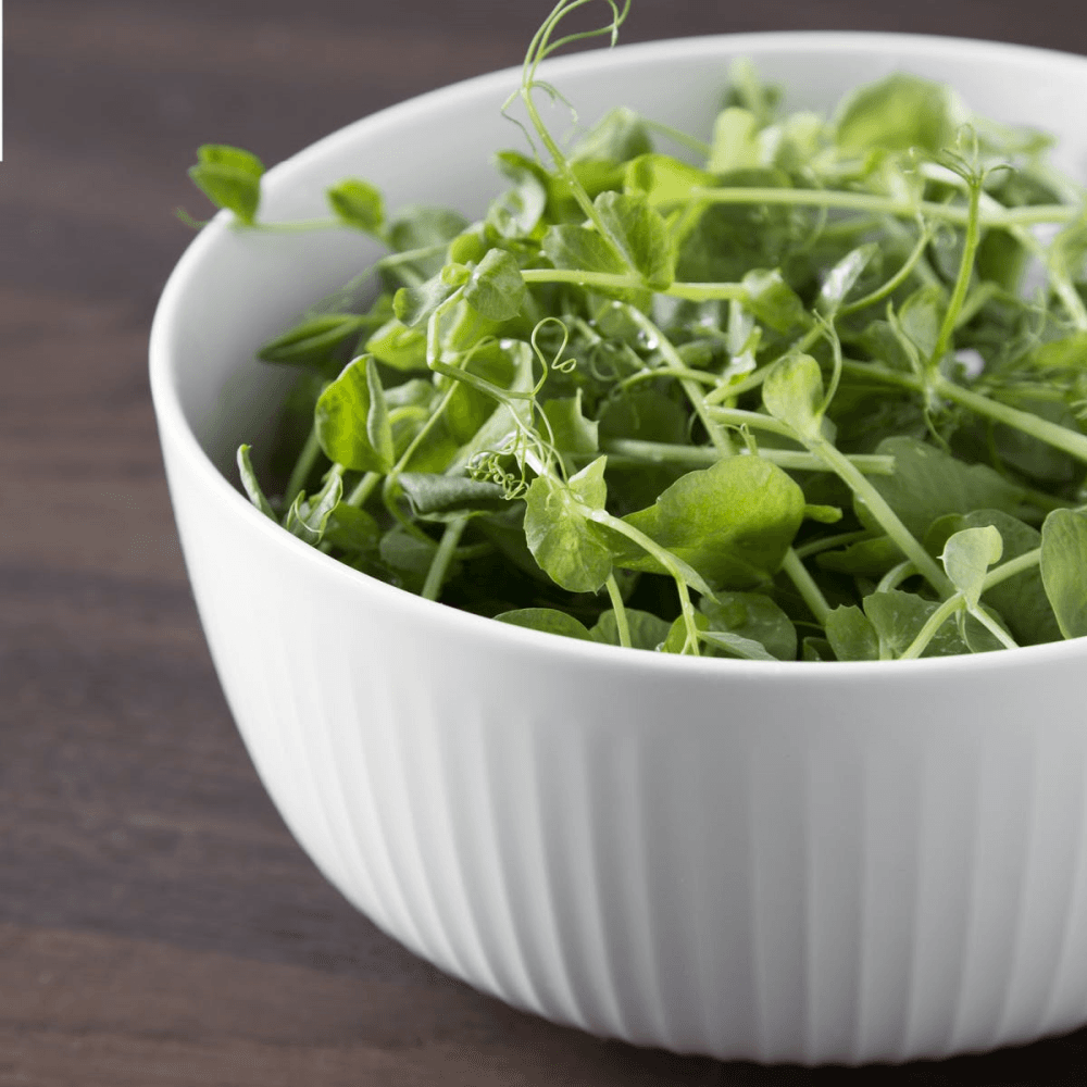 Hammershøi Bowl, 21cm, White