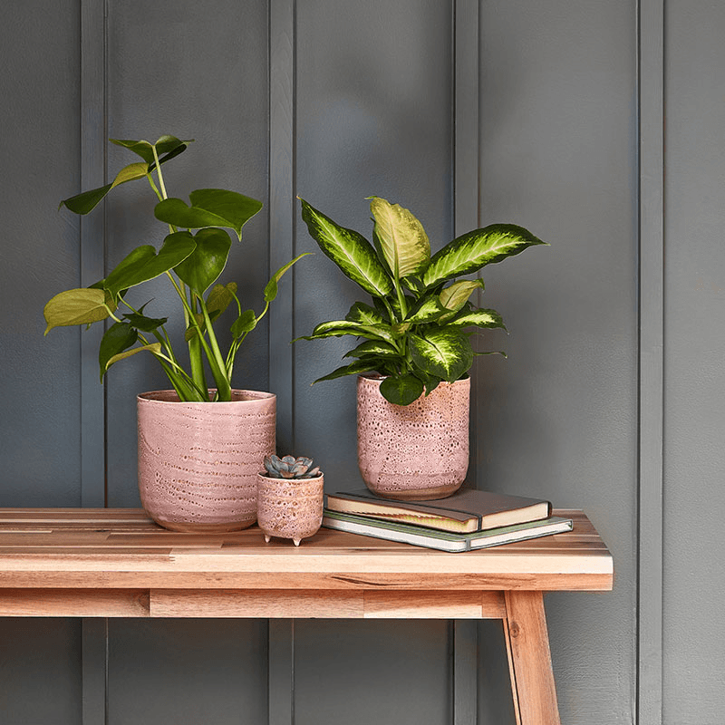 Reactive Glaze Planter, D18cm, Morganite