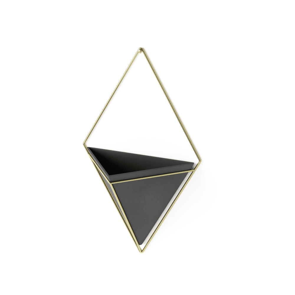 Trigg Set of 2 wall vessels, Black/Brass