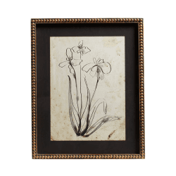 Image showing the Narin Set of 4 Framed Prints, H50cm x W40cm x D3cm, Multi product.