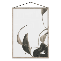 Image showing the Floating Leaves 08 - A5 FSC Print, 21 x 15cm product.