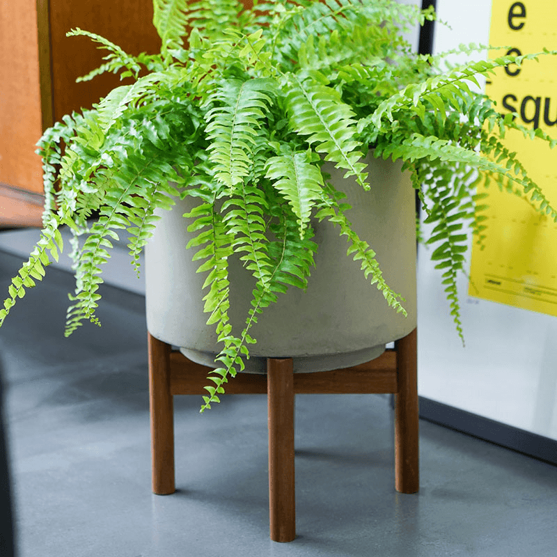 Vigo Planter with stand, D28cm, Concrete Grey