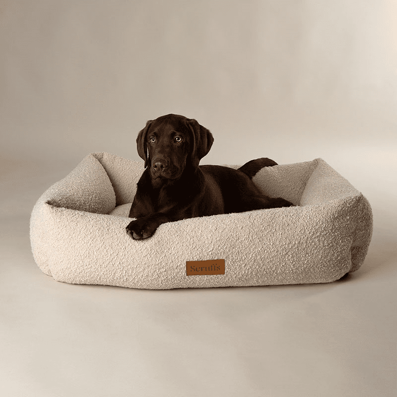 Luxury Boucle Box Bed, 90 x 70cm, Ivory