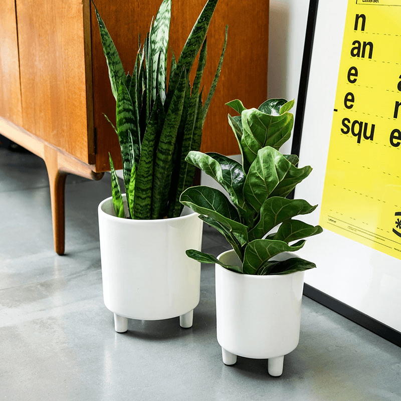 Pisa Planter, H20 x W24 x D24cm, White
