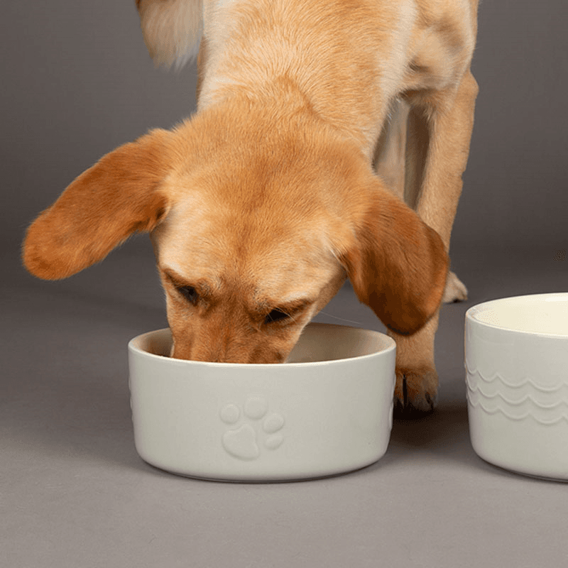 Icon Dog Bowl, D19cm, Light Grey