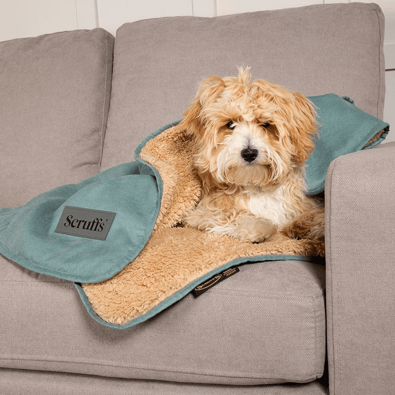 Snuggle Pet Blanket, 110 x 72.5cm, Sage Green
