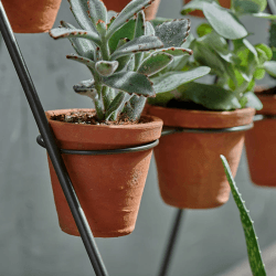 Image showing the Jara Planter stand, 65 x 40 x 45cm, Terracotta/Black product.