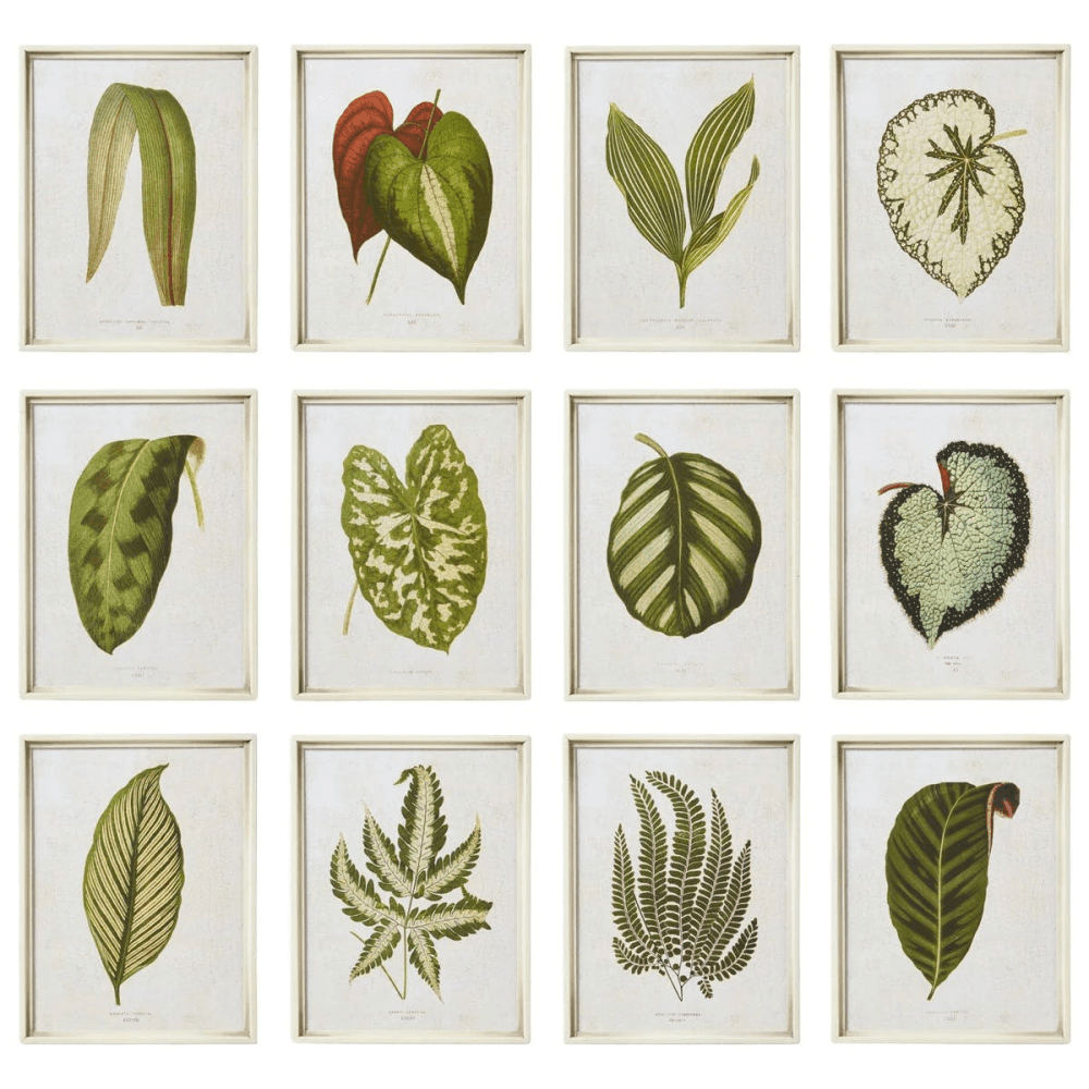 Exotic Leaf Set of 12 Framed Prints, Green