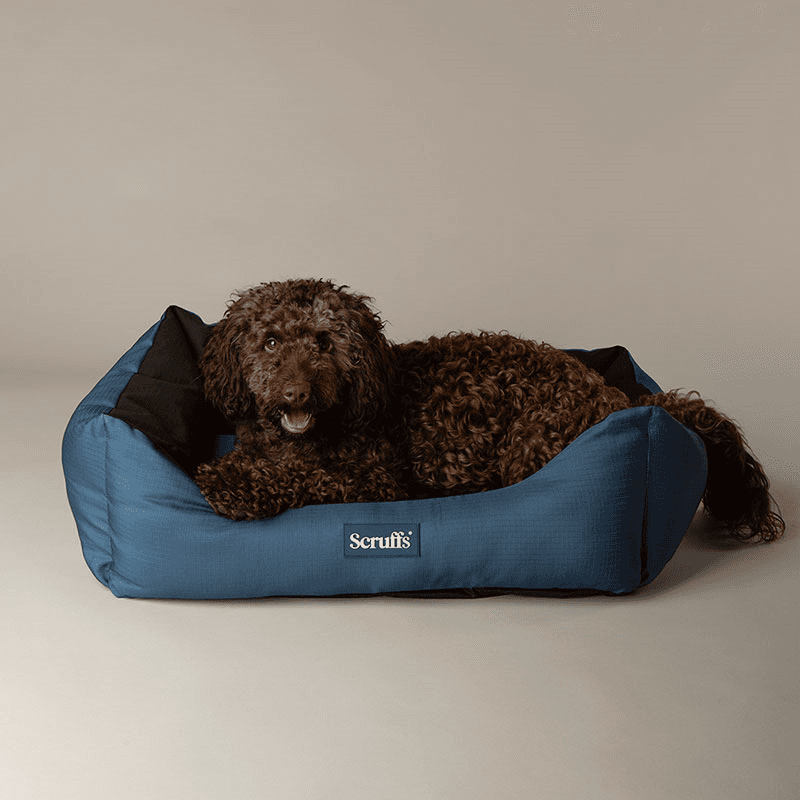 Expedition Dog Bed, 75 x 60cm, Atlantic Blue