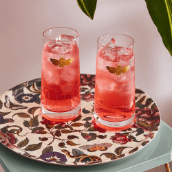 Image showing the Creatures of Curiosity Pair of Highball Tumblers, Clear product.