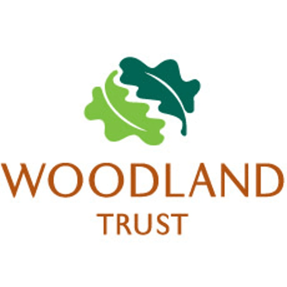 A Donation Towards The Woodland Trust
