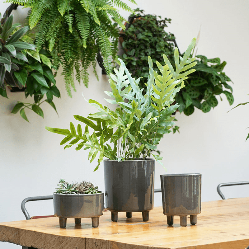 Pisa Planter, D20cm, Slate