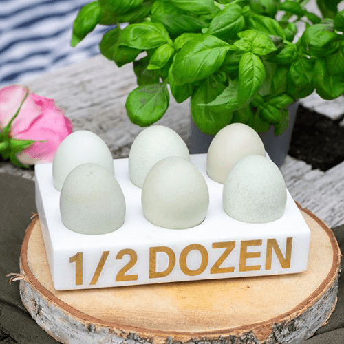 Marble 1/2 Dozen Egg Holder, L17.5 x W12 x H3.5cm, White