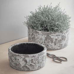 Image showing the Withington Bowl, D24.5cm, Grey product.