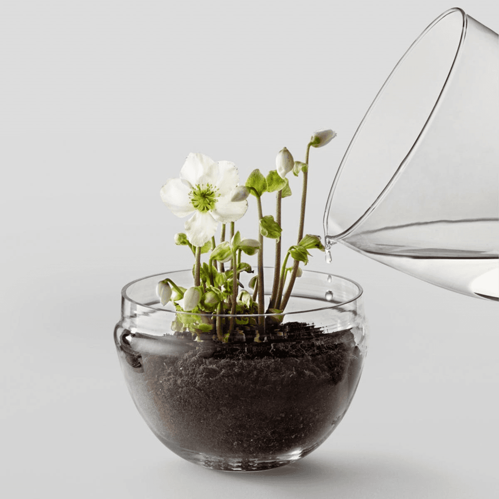 Grow Large greenhouse, D20 x H32cm, Clear