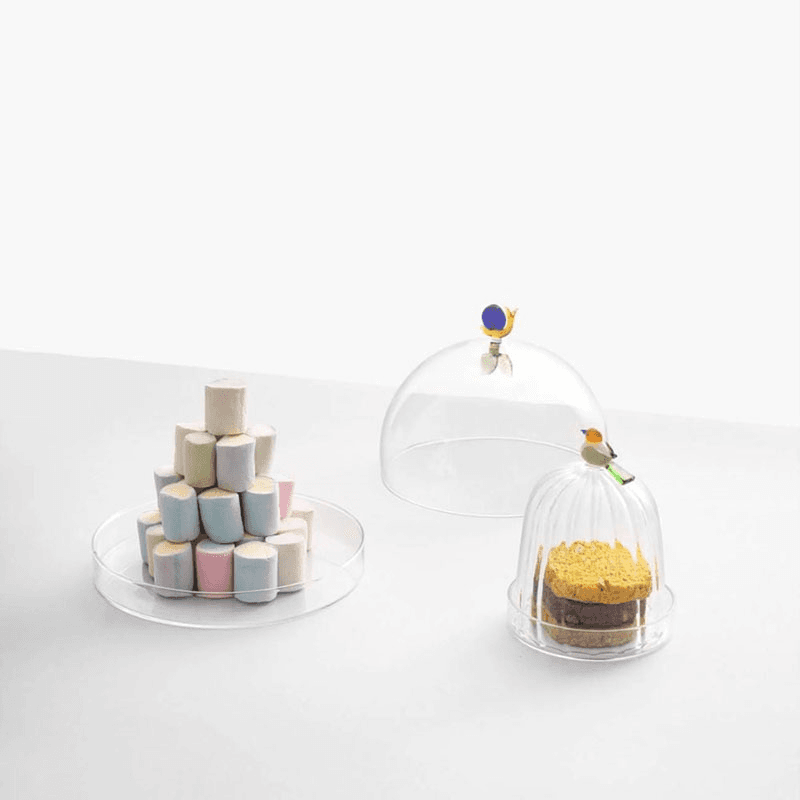 Animal Farm Bird Optic Dome with Dish, H15 x W12cm