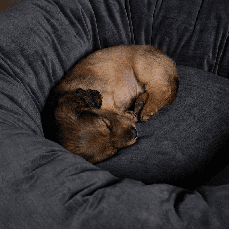 Oslo Ring Bed, 65cm, Stone Grey
