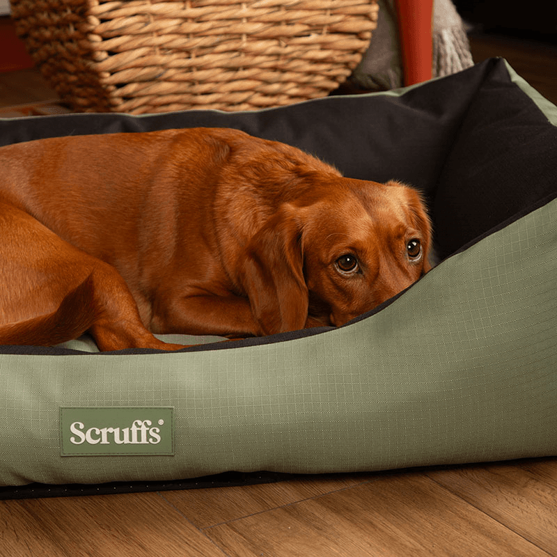 Expedition Dog Bed, 90 x 70cm, Khaki Green