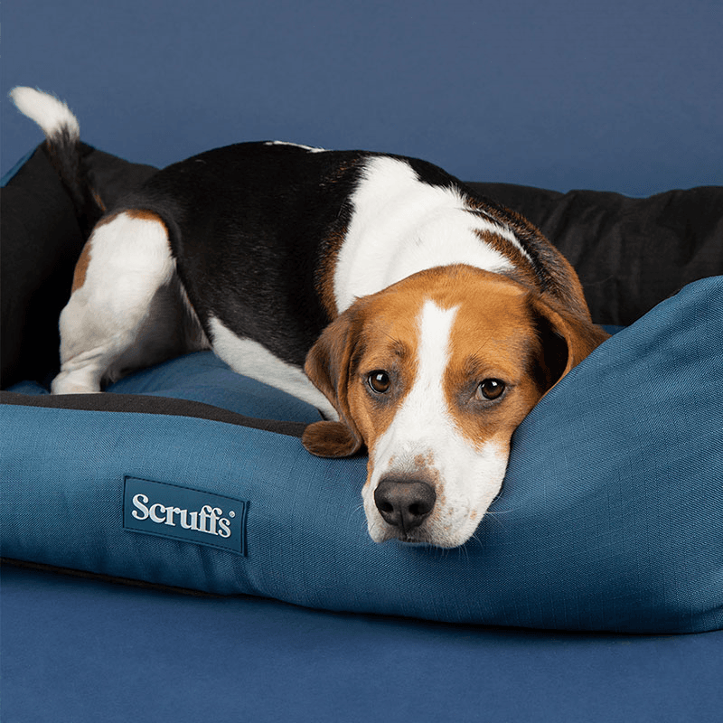 Expedition Dog Bed, 90 x 70cm, Atlantic Blue