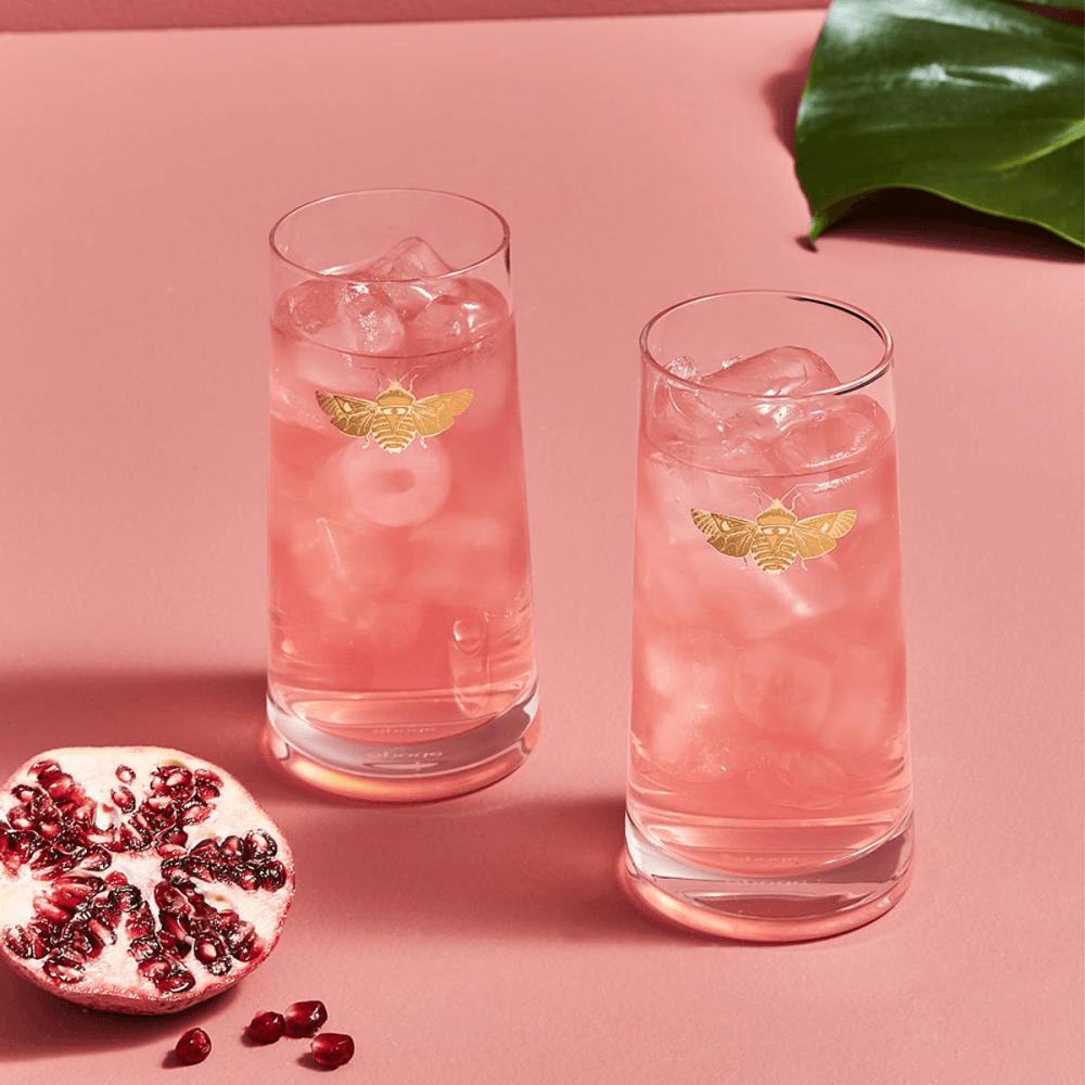 Creatures of Curiosity Pair of Highball Tumblers, Clear