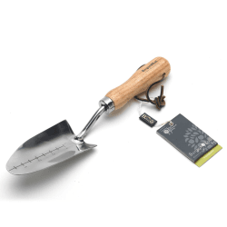 Image showing the Stainless Steel Transplanter, Silver/Natural product.
