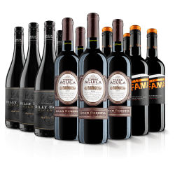 Image showing the Premium 12 Bottle Red Case product.