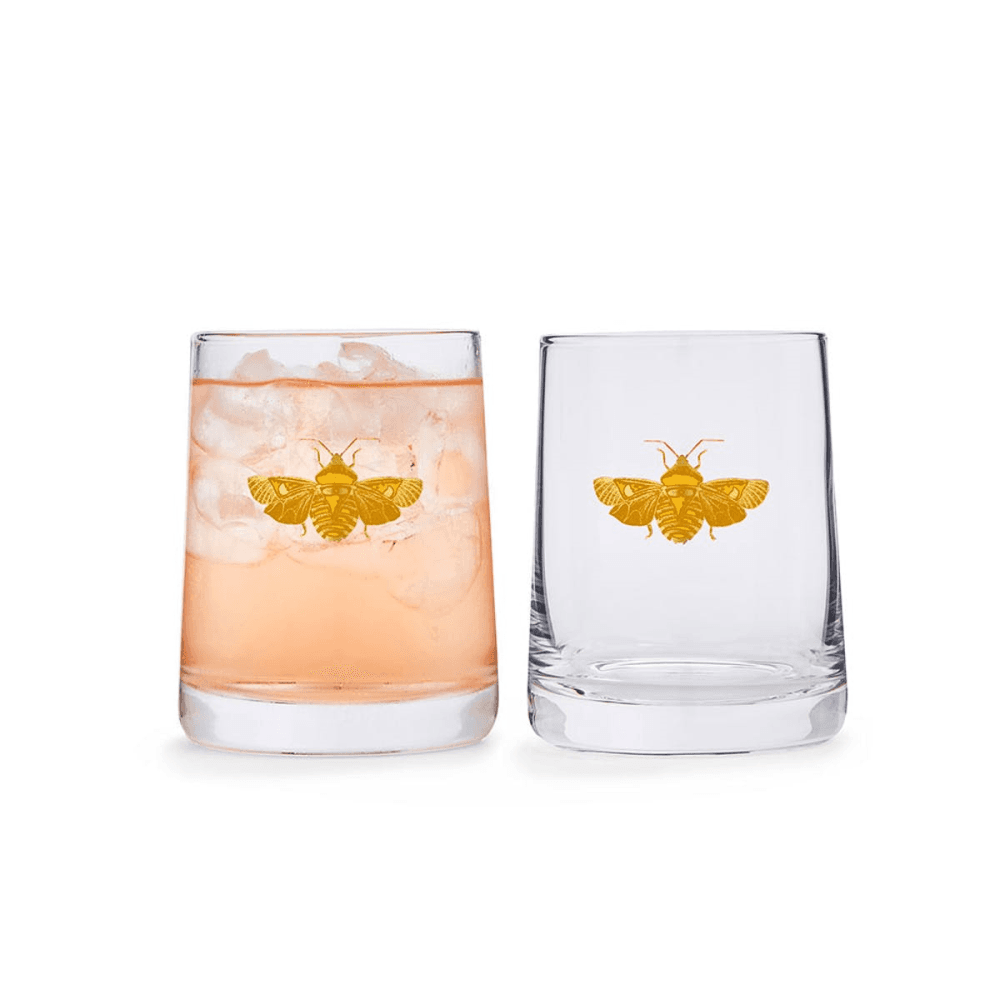 Creatures of Curiosity Pair of Tumblers, Clear