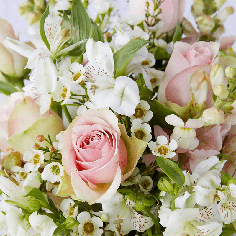 Regular Letterbox flower subscription, 6 months