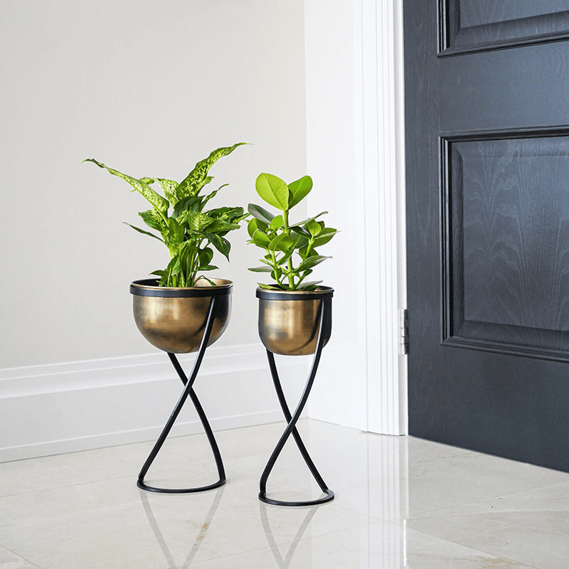Kensington Indoor Planter on Stand, H42 x W14cm, Brass