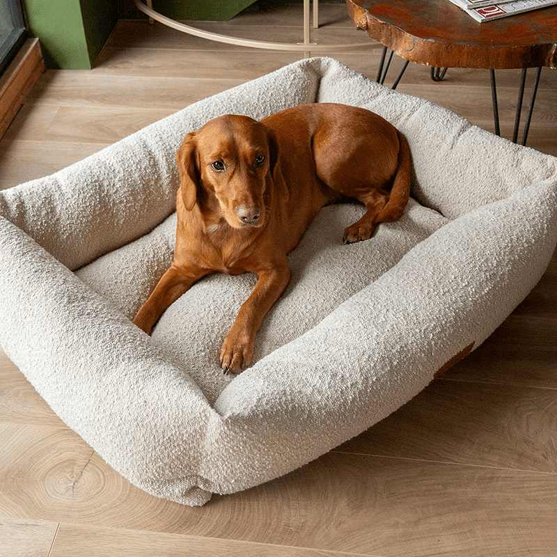 Luxury Boucle Box Bed, 90 x 70cm, Ivory