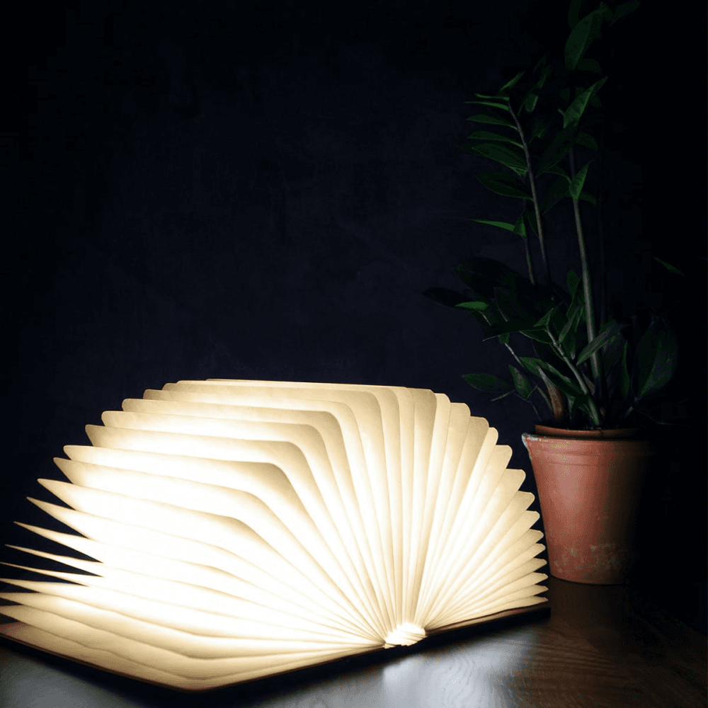 Mini smart book light, L12.2 x W9 x H2.5cm, Walnut