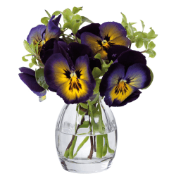 Image showing the Florabundance Pansy vase, H9.5cm, Clear product.
