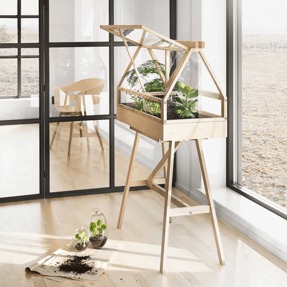 Greenhouse, Indoor Greenhouse, Ash, Natural