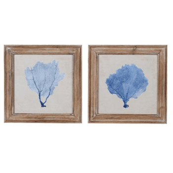 Blue Coral Pictures, Set of 2