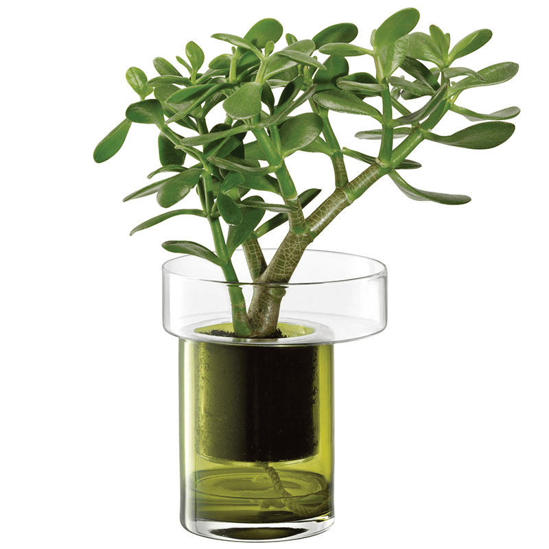 Balcony Self Watering Planter, H19 x W16cm, Clear & Olive Green