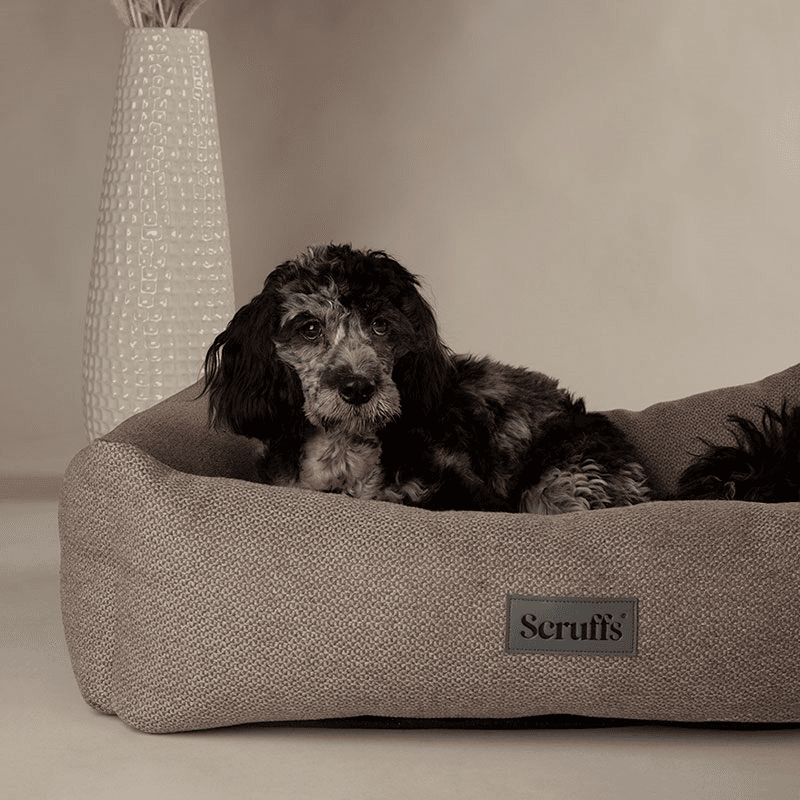 Seattle Box Bed, 60 x 50cm, Stone Grey