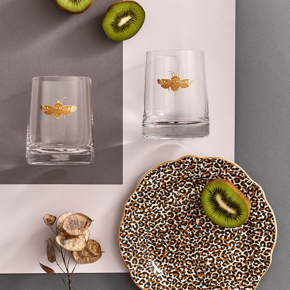 Creatures of Curiosity Pair of Tumblers, Clear