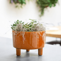 Image showing the Pisa Bowl planter, D19cm, Mustard product.
