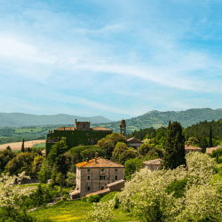 Image showing the Honeymoon Tuscan Countryside Agritourism £50 product.