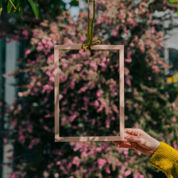 Image showing the Marco Frame, A3, Plaster Pink product.