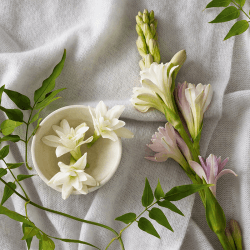 Image showing the Tuberose & Cashmere Signature Candle product.