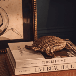 Image showing the Rattan Decorative Turtle, H5cm x W18cm x D19cm, Vintage Grey product.