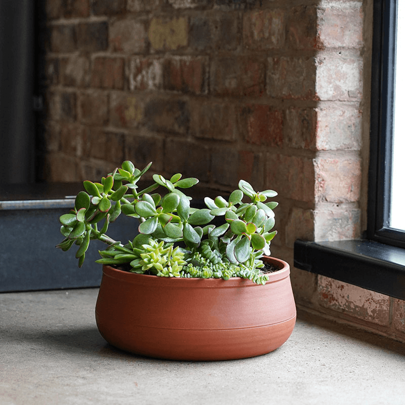 Kew Temperate House Handthrown Statement Bowl, D30cm, Burnt Umber