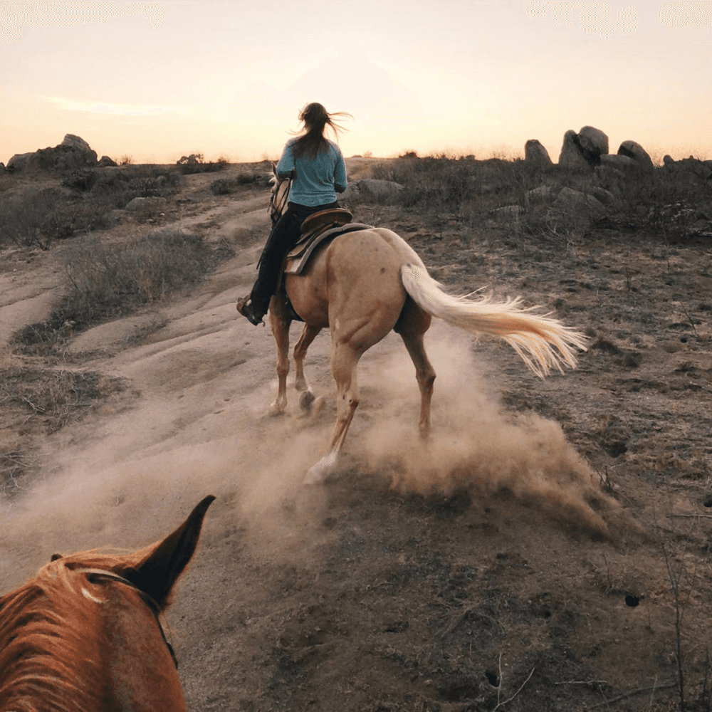 Honeymoon Horse Riding for Two