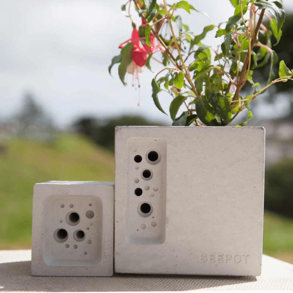 Beepot Concrete Planter and Bee House - Mini; White, White