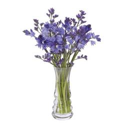 Image showing the Wibble Small vase, H17cm, clear product.
